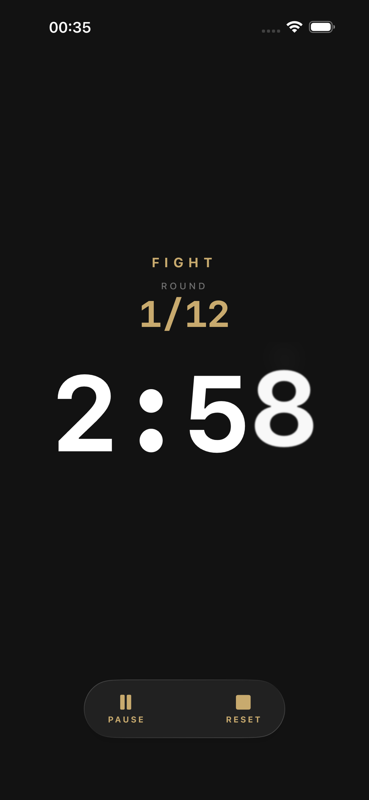 Timer running — Round 1 of 12